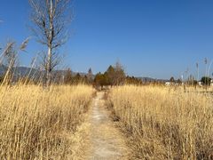 -大理洱源西湖景区