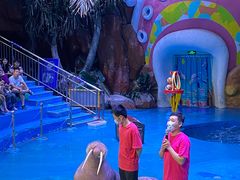 -烟台海昌鲸鲨海洋公园