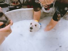 -Oh My Dog宠物沙龙(伊珊娜皮毛护理店)