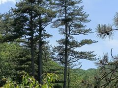 -玉渡山自然风景区