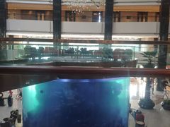 -OPEN開全日自助餐厅·西餐·海鲜(佛山希尔顿酒店)