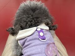 -和它·交个朋友·狗咖猫咖(爱琴海店)