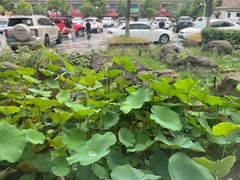 -沔阳会馆(沔街店)