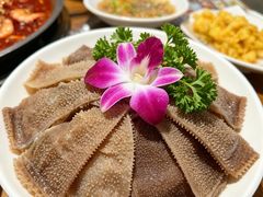 -单家老院·院子里的青岛菜(沙子口店)