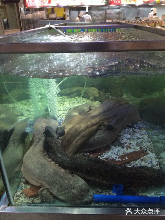 渔民新村(番禺总店)iphone_upload_pic图片