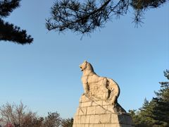 -帽儿山国家森林公园