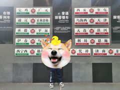 -中国铁道博物馆(东郊展馆)
