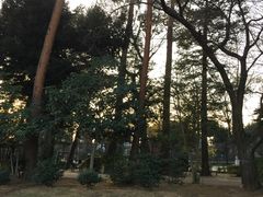 -井之头恩赐公园