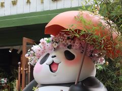 -轩客会(熊猫书店)