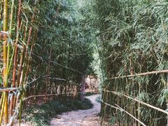 -竹子庵公园
