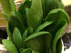 -羊阿公·嘉福烤全羊龙虾馆·家常菜(广益店)