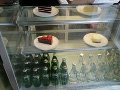 -飞行喵MR PILOT|猫舍·猫咖(静安大融城店)