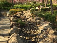 -大连植物园