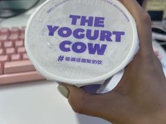 -一只酸奶牛(奎星楼店)