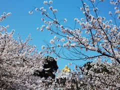 -苏州上方山国家森林公园