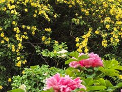 -国家植物园南园