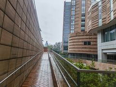 -香港大学