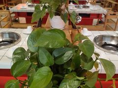 大堂-蛙一刀·麻椒鱼火锅(金仙桥店)