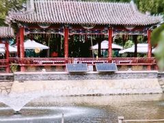 -尚庄度假村·庭台树下·户外烧烤·团建CS·轰趴营地(上庄水库店)