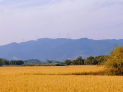 -良渚古城遗址公园
