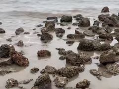 -东疆建设开发纪念公园