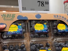 -山姆会员商店(上海浦东店)