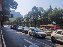 -重庆市江北嘴中央商务区中央公园