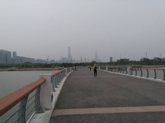 -四海公园(南山区)
