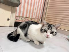 -美联众合动物医院·24h京西诊疗中心