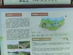 -五缘湾湿地公园