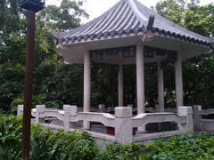 -罗三妹山