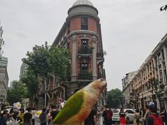-巴公房子