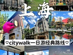 -上海龙之梦万丽酒店