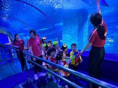 -全优加早教·托育(金沙御苑校区)