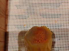 -香港狮子山下·明星粤菜餐厅(北苑店)