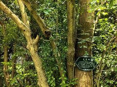 -敬亭山风景名胜区