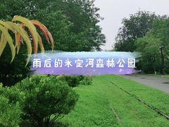 -永定河休闲森林公园