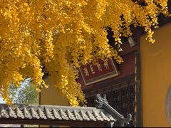 -上海青龙寺