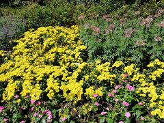 -西湖外事游船(花港观鱼码头)