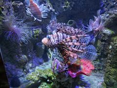 -太平洋海底世界