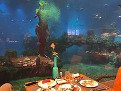 -海棠湾洲际-涛·海底餐厅·美人鱼·自助餐·海底隧道