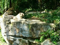 android_upload_pic-河川生态园