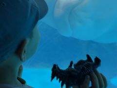 -海合安武汉极地海洋公园