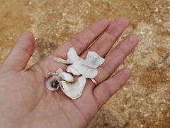-嵊泗基湖沙滩