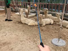 -广州融创文旅城