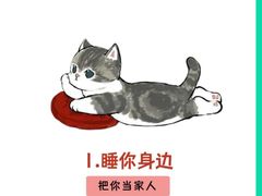 -北京派仕佳德动物医院·超导核磁·CT·神经科·骨科·内外科·急重症管理中心