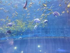 -西安华夏文旅水世界
