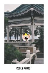 点击看大图 -果石摄影(汉街skp店)