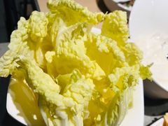 娃娃菜-海底捞火锅(铁西万达店)
