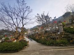 -老幺泉水鸡